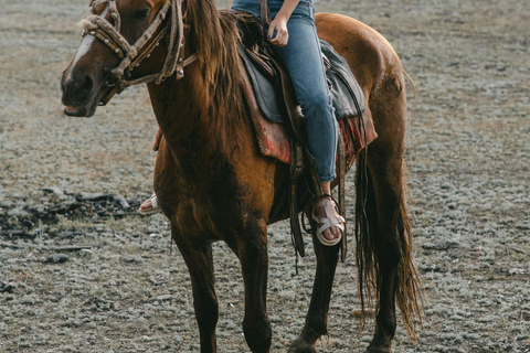 St Lucia: Private Sunset Beach Horse Ride + Pickup available