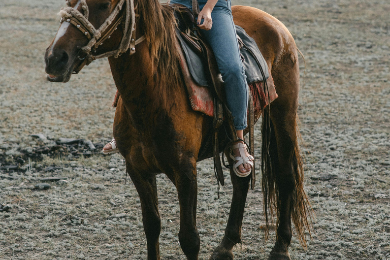 St Lucia: Private Sunset Beach Horse Ride + Pickup available