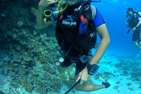 Intro Diving Débutant et découverte de la mer rouge sous l&#039;eau