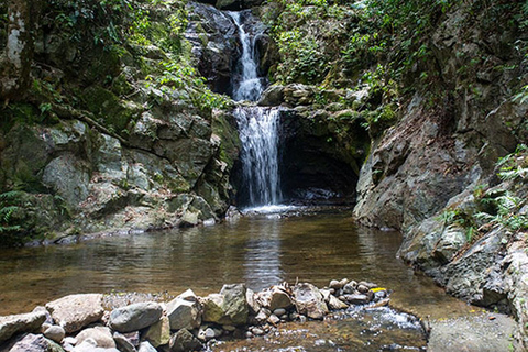 Trekking alle cascate, safari nella giungla, zipline, piscina di fango, tour alle sorgenti termali.Solo quote di ingresso