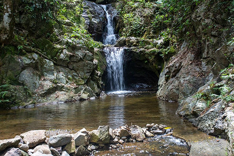 Trekking alle cascate, safari nella giungla, zipline, piscina di fango, tour alle sorgenti termali.Solo quote di ingresso