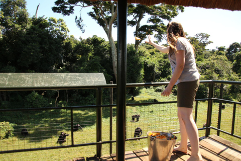 SOJURN DU SANCTUAIRE DE L&#039;OUGANDA : Faites l&#039;expérience du voyage de conservation