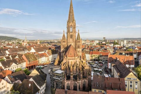 Hallo Freiburg: Privater, 2-stündiger Stadtrundgang mit ortskundigem Guide