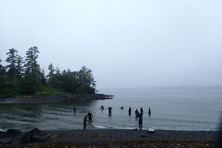 Sitka: Kelp Forest Snorkel Tour