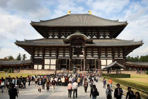 Nara Private Day Trip with Hotel Pickup and English Guide