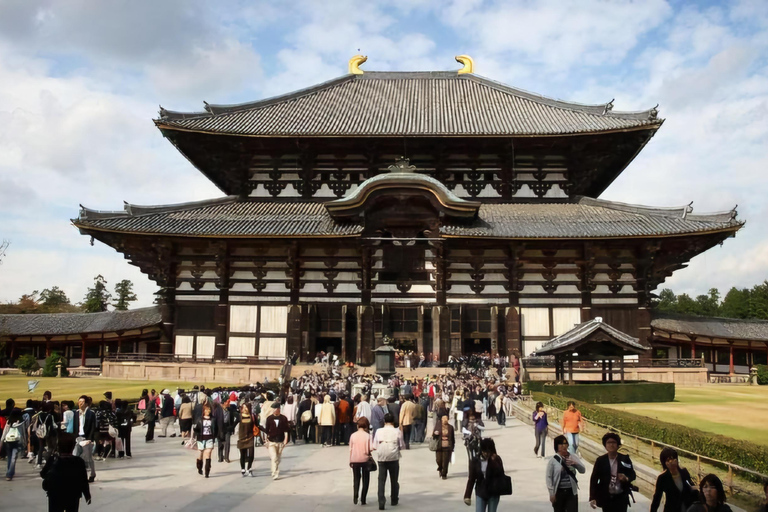 Nara Private Day Trip with Hotel Pickup and English Guide