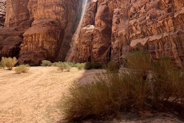 Wadi Rum Desert: Two Days and Nights Bedouin World Trip