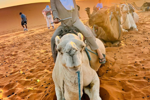 From Marrakech: 3-Day Merzouga Tour with Camel Trek & Luxury Camp Shared Standard Sahara Tour – Popular Choice