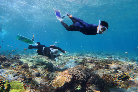 Nusa Penida: Snorkeling Adventure 3-Spots with Manta Rays Nusa Penida: Snorkeling Manta Point 3-Spots with Manta Rays