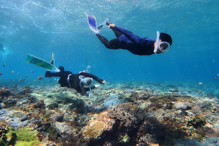 Nusa Penida: Snorkeling Adventure 3-Spots with Manta Rays Nusa Penida: Snorkeling Manta Point 3-Spots with Manta Rays