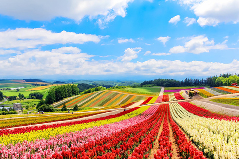 Hokkaido Summer Day Trip: Patchwork Road&Shikisai no Okas Depart from Sapporo Tokyu REI Hotel (without lunch)