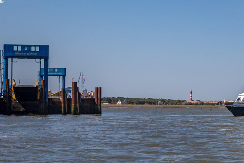 Amrum: Daytrip by boat to Sylt