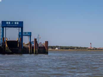 Amrum: Day trip by boat to Hallig Hooge