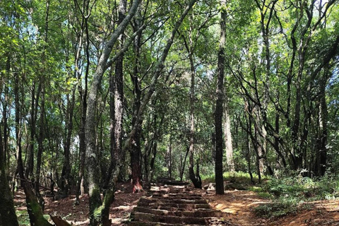 Kathmandu Day Hike to Nagarjun Jamacho with Hotel Pickup All inclusive with Transfer