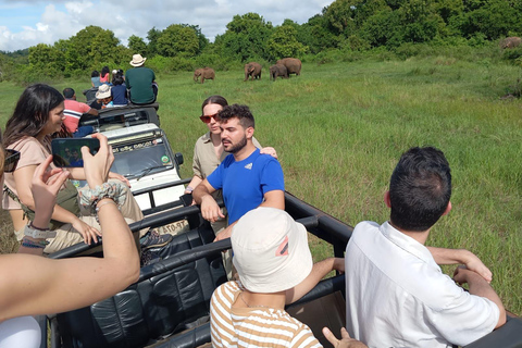 Wildlife experience at Minneriya National Park Safari