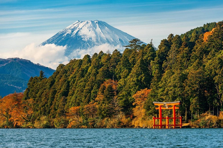Tokyo: Mt. Fuji & Hakone One-Day Private Customizable Tour