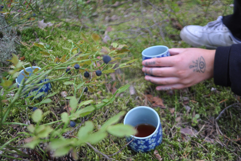 Forest Bathing in Stockholm nature with certified guide Forest bathing with tea-ceremony in mossy nature reserve