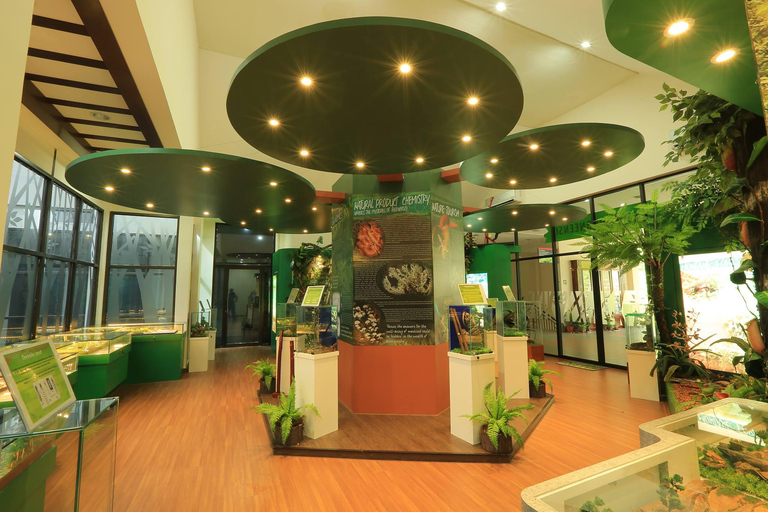 Sabah : Visita a la ciudad de Kota Kinabalu con comida/cenaKota Kinabalu: Visita a la ciudad de Kota Kinabalu