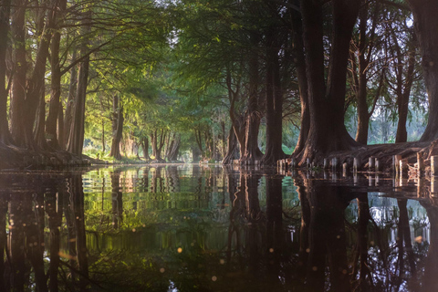 Erlebe den Zauber von Xochimilco, Coyoacán und der UNAM auf einer einzigartigen Kultur-Tour.Erlebe den Zauber von Xochimilco, Coyoacán und der UNAM auf einer einzigartigen Kultur