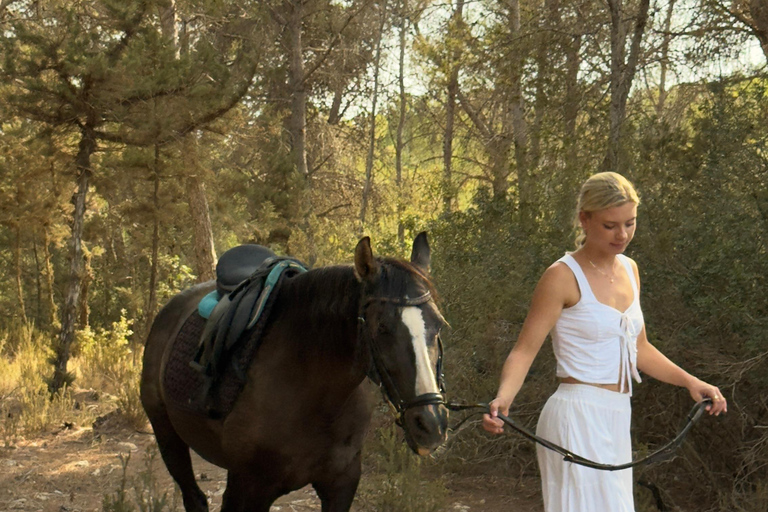 Maun, Botswana: Half Day Guided Horse Back Safari Ride