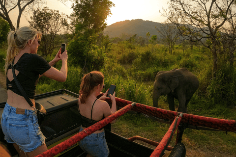 Habarana: Hurulu Eco Park Halbtagessafari mit Abholung vom Hotel