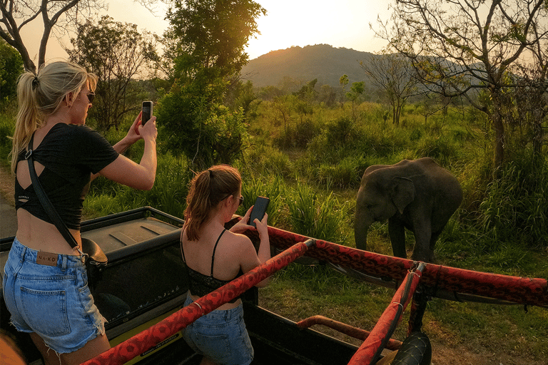 Habarana: Półdniowe safari w Hurulu Eco Park z odbiorem z hotelu