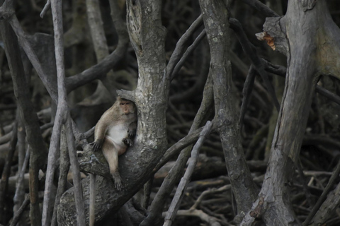 Ko Lanta : Exploration privée - Mangroves, vieille ville et plagesVisite privée d&#039;exploration