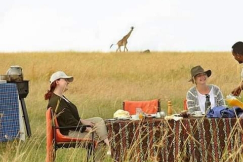3Day Safari Serengeti and Ngorongoro Crater Midrange Lodge Private Tour Safari
