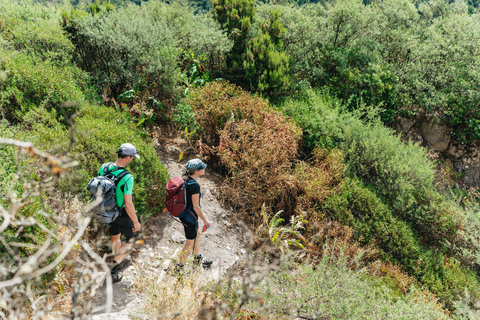 Desde el sur de Tenerife: tour por la isla de La Gomera