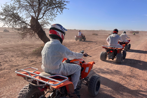 Marrakech: Quad experience in the palm grove & jbilat Quad experience in the palm grove of Marrakech