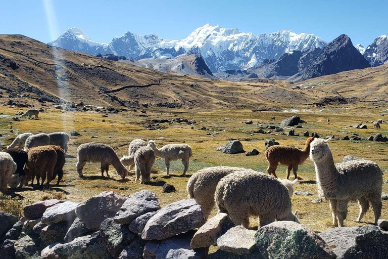 Escursione di Ausangate - Sette laghi glaciali