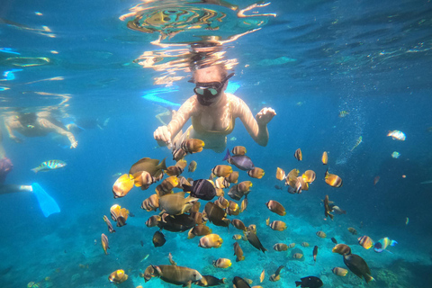 Nusa Penida: Snorkling båttur med Manta Rays