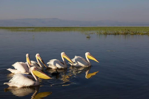 From Addis Ababa: 2-Day Wendo Genet & Hawassa Tour