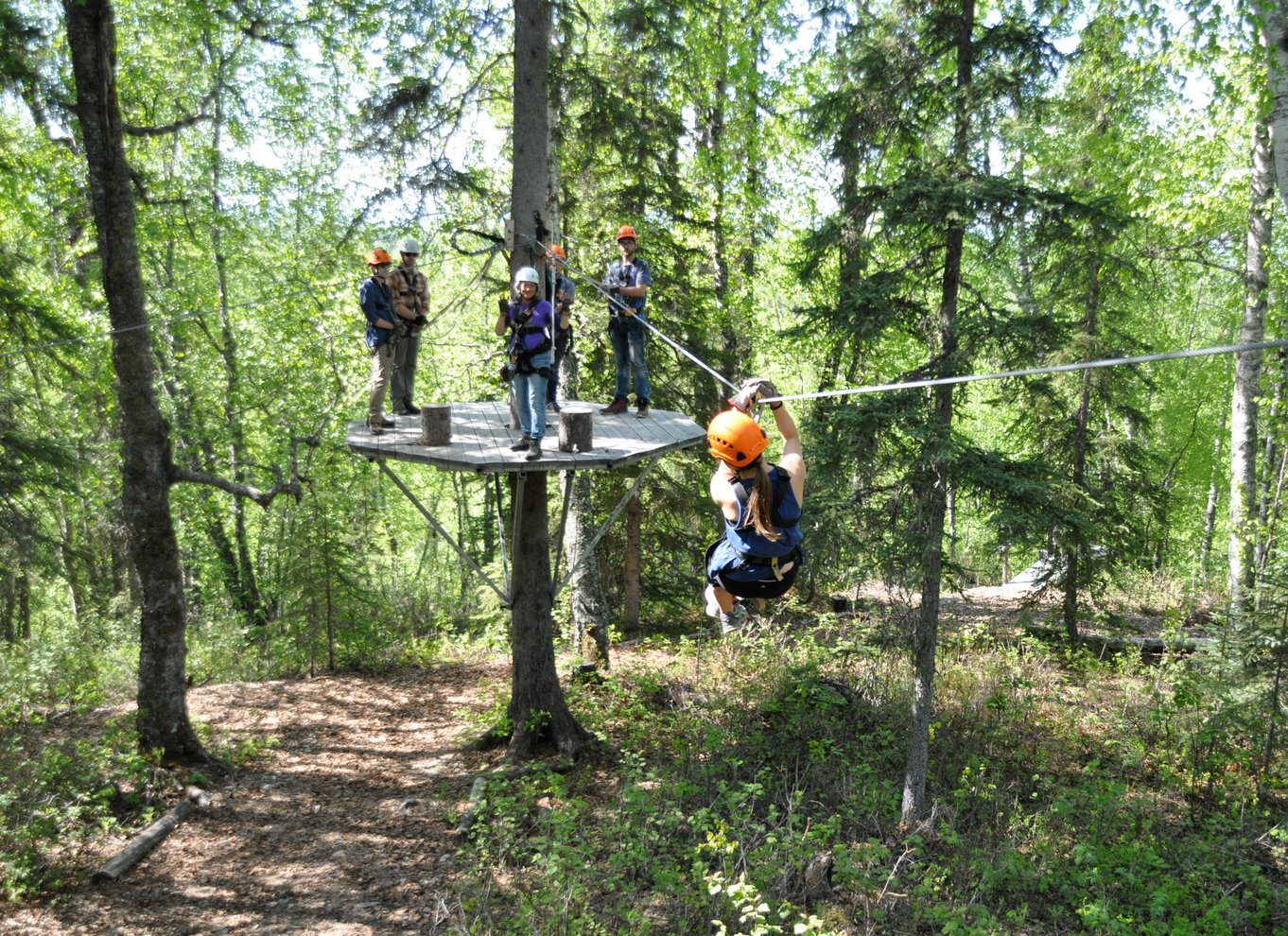 Talkeetna: Denali zipline-ture