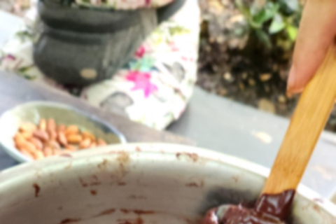 Montezuma: Retiro de bem-estar de 5 dias com refeições e atividadesMontezuma: retiro de bem-estar de 5 dias com refeições e atividades