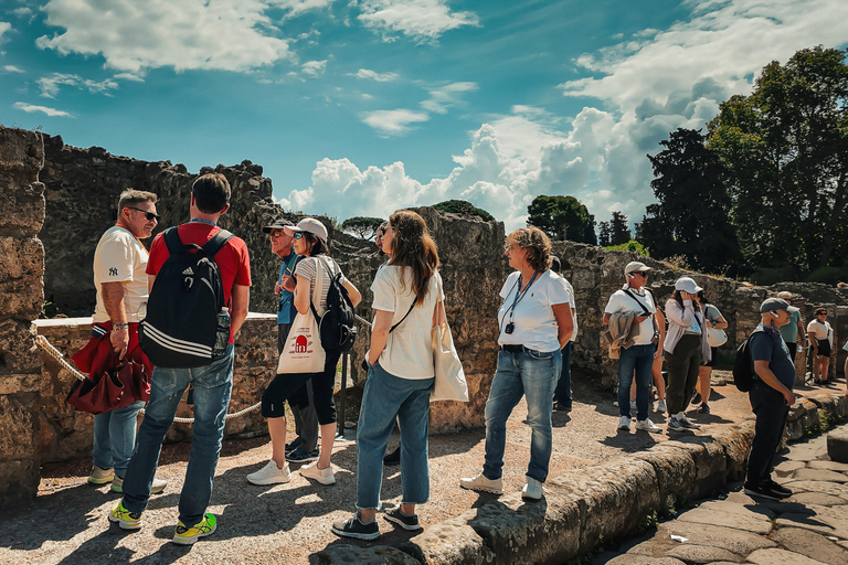 Pompeji &amp; Herculaneum: Skip-the-line &amp; App Audioguide
