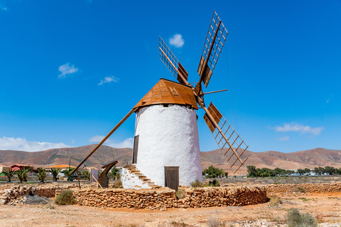 Desde Caleta de Fuste: Excursión a Fuerteventura Rural