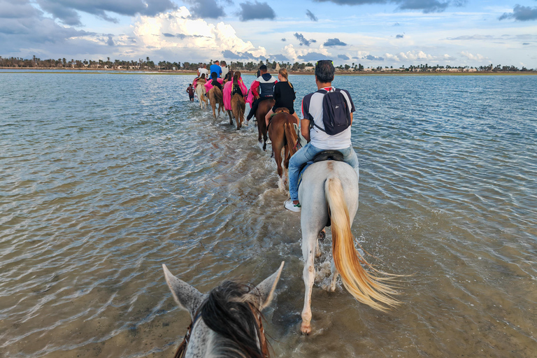 杰尔巴岛：在蓝色泻湖骑骆驼和骑马。杰尔巴：蓝色泻湖骑骆驼和骑马之旅。