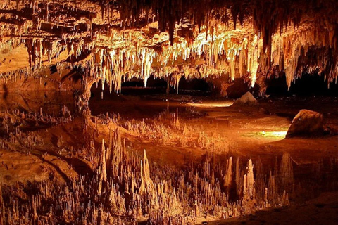 From D.C.:Day Tour to Luray Caverns&Shenandoah Skyline Drive Select corresponding pick-up time according to location list