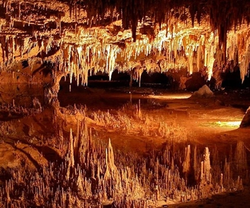 From D.C.:Day Tour to Luray Caverns&Shenandoah Skyline Drive