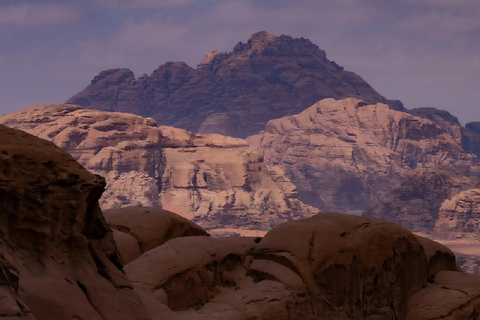 Wadi Rum: Bedouin Culture Tour with Bedouin Guide in desert CAML TOUR 1HOUR