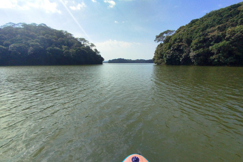 Paddleboarden en BBQ bij het Billings Reservoir