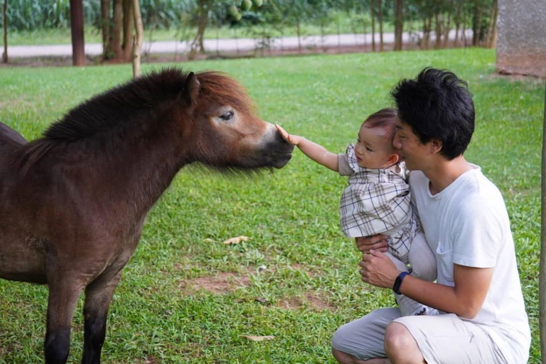 Accra: Safari Valley, Waterfall, and Cocoa Farm Tour