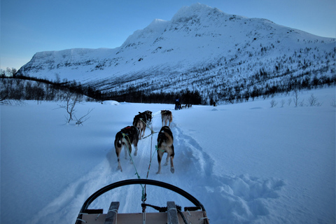 Tromsø: Husky Sledding Adventure with Soup & Transfers