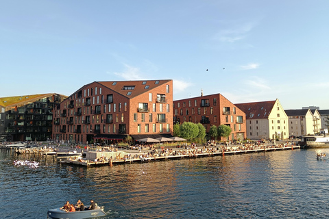 Copenhagen Architecture: 3-Hour Expert-Led Bike Tour Private Tour - EN/FR/ES/IT - 3 hours