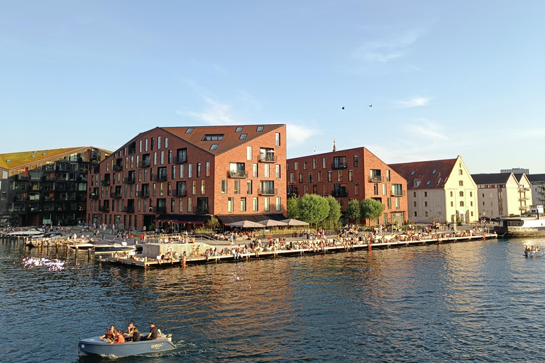 Copenhagen Architecture: 3-Hour Expert-Led Bike Tour Private Tour - EN/FR/ES/IT - 3 hours