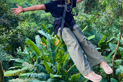Phuket: Elephant Sanctuary & Zipline Adventure Combo Elephant Walk & 16-Platform Zipline Adventure