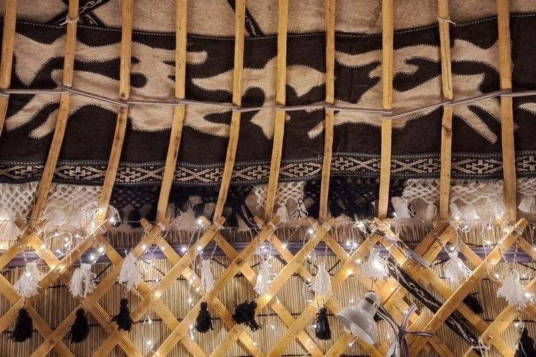 Levi: Northern Lights Yurt Dinner & Arctic Village