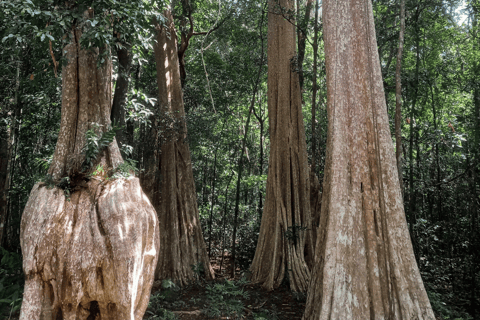 Cat Tien National Park with Crocodile Lake