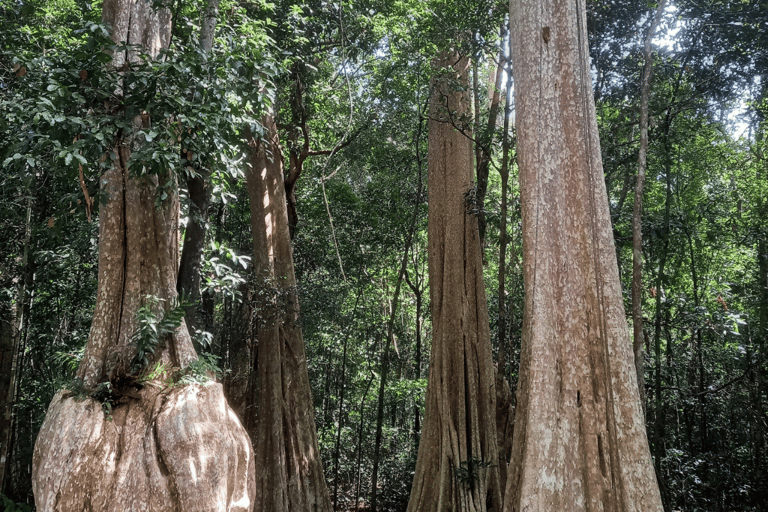 Cat Tien National Park with Crocodile Lake